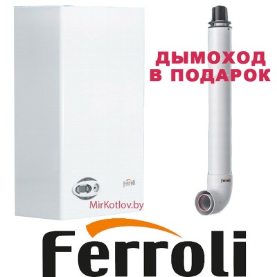 Купить Газовый котел Ferroli Divabel F24 (двухконтурный котел, закрытая камера)  7 в Минске с доставкой по Беларуси