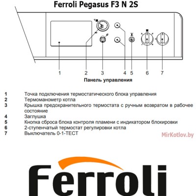 Напольный газовый котел Ferroli Pegasus F3 N 289 2S фото 1