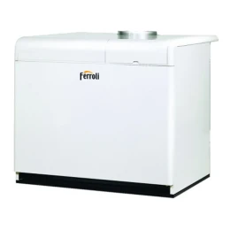 Напольный газовый котел Ferroli Pegasus F3 N 136 2S