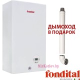 Газовый котел Fondital MINORCA CTFS 24 CU