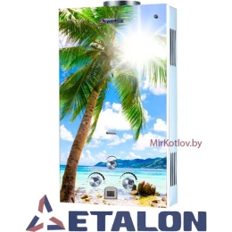 Газовая колонка ETALON Y 10 GI (Пальма) Газовая колонка ETALON Y 10 GI (Пальма)