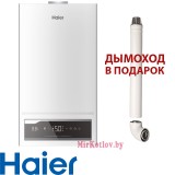 Газовый котел HAIER PROLINE 2.24 TI