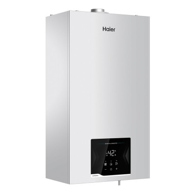 Купить Газовый котел HAIER NeoSlim 1.24 TI 