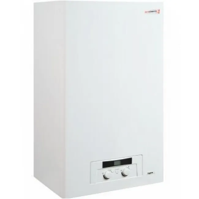 Газовый котел Protherm Lynx 24 (РЫСЬ) купить в Минске - цены,  характеристики и отзывы