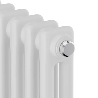 Стальные трубчатые радиаторы Royal Thermo Insignia C2180 - 08 секц. (белый)