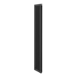 Стальные трубчатые радиаторы Royal Thermo Insignia VC2180 - 06 секц. (черный)