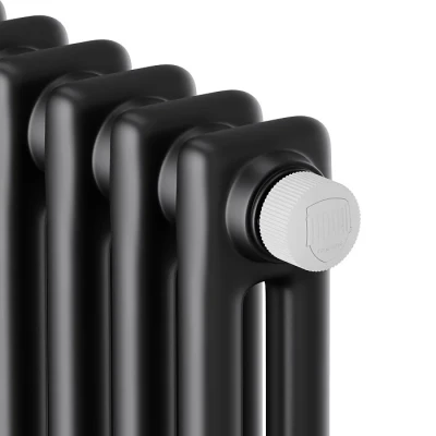 Стальные трубчатые радиаторы Royal Thermo Insignia VC2180 - 10 секц. (черный) Стальные трубчатые радиаторы Royal Thermo Insignia VC2180 - 10 секц. (черный)