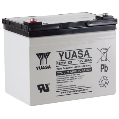 Купить Аккумуляторная батарея YUASA REC36-12I 12V 36Ah 