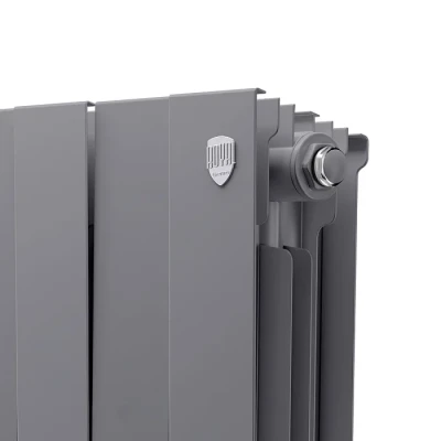 Биметаллический радиатор Royal Thermo PianoForte 200 Silver Satin (16 сек)
