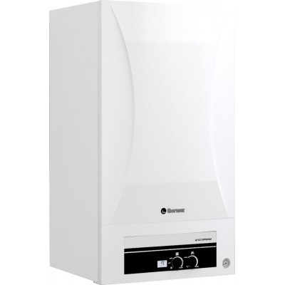 Купить Газовый котел Thermex Andromeda HM24 